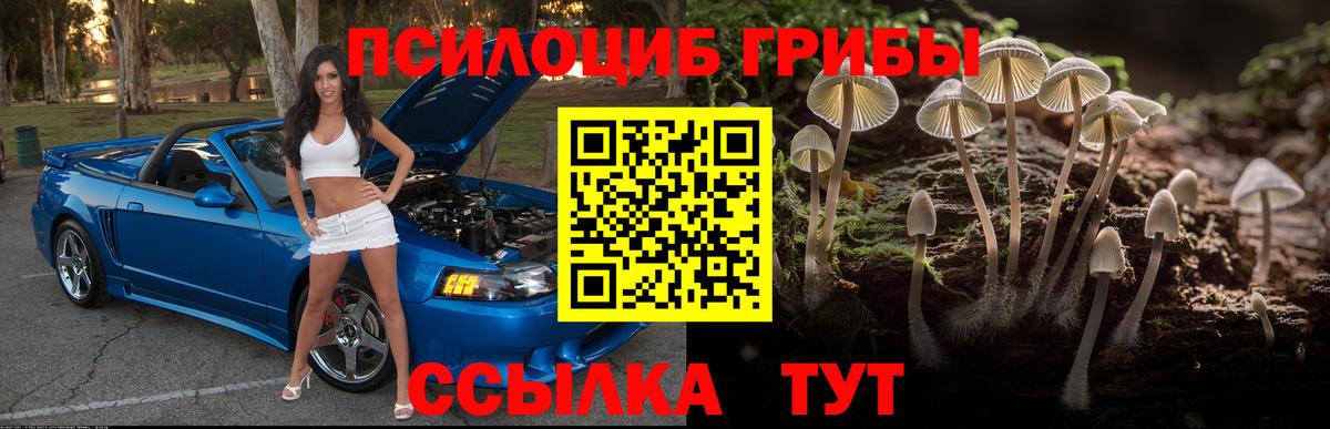 Галлюциногенные грибы Magic Shrooms  Галлюциногенные грибы Cubensis  Вход с VPN  Нижний Тагил 